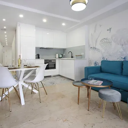 Appartement Penthouse Und Arbeiten Torrevieja